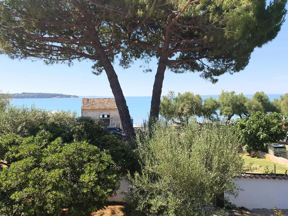 Holiday Erna - Apartments Cherry & Blue Novigrad Istria