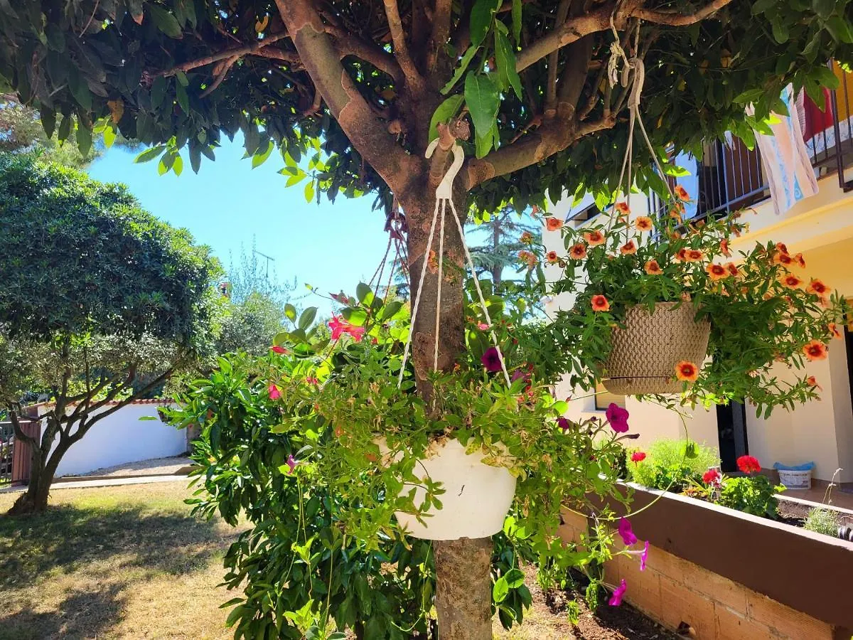 Holiday Erna - Apartments Cherry & Blue Novigrad Istria