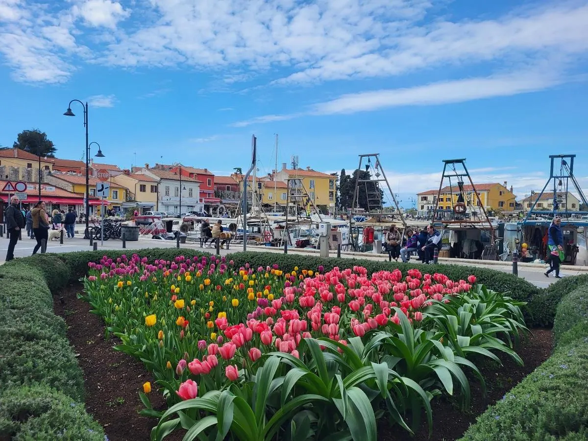 Holiday Erna - Apartments Cherry & Blue Novigrad Istria