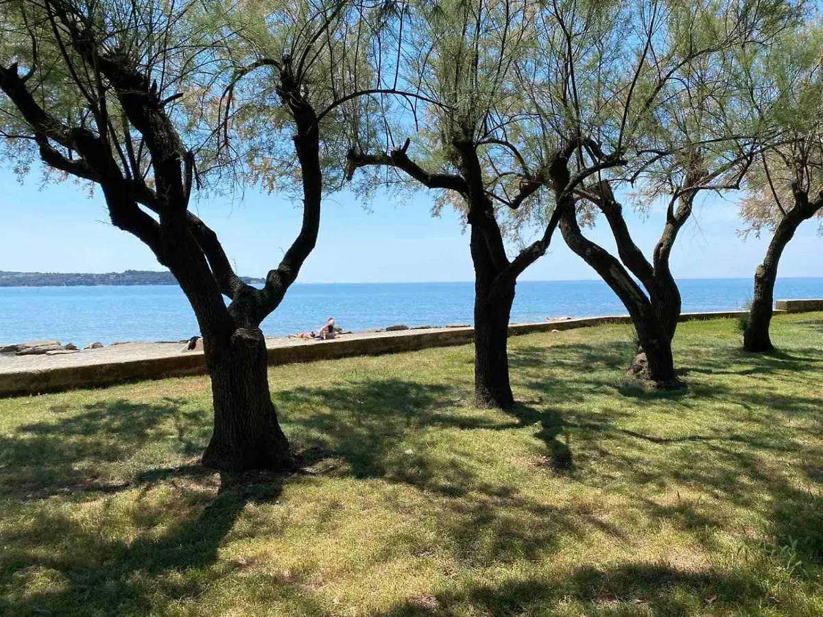 Holiday Erna - Apartments Cherry & Blue Novigrad Istria